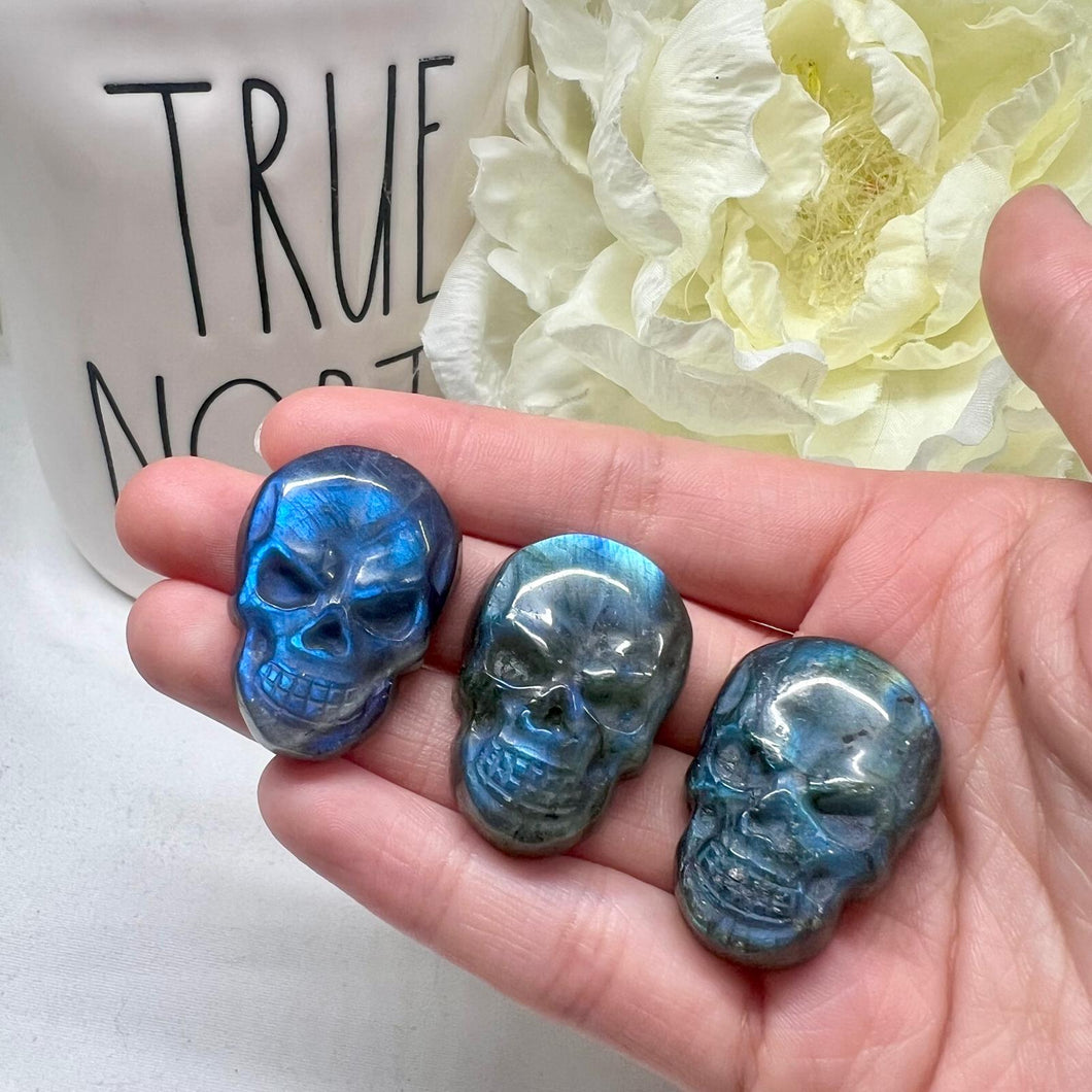 Angry Labradorite Flat Skull