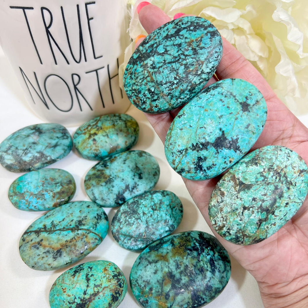 African Turquoise Palm