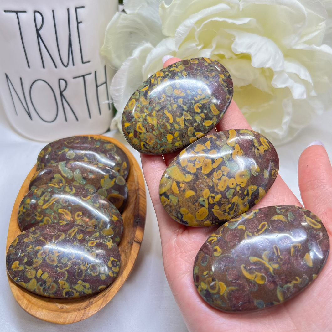 Ajooba Jasper Palms