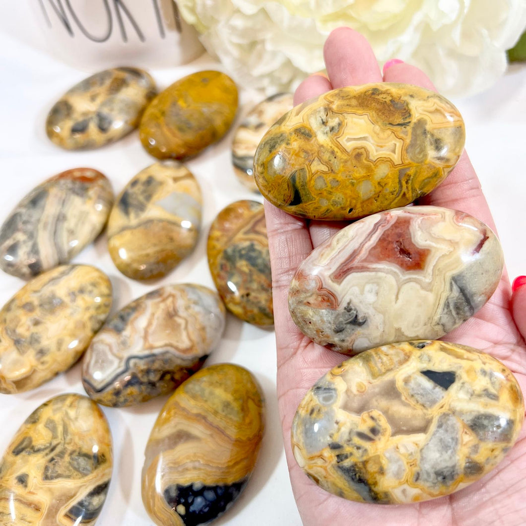 Crazylace Agate Palm