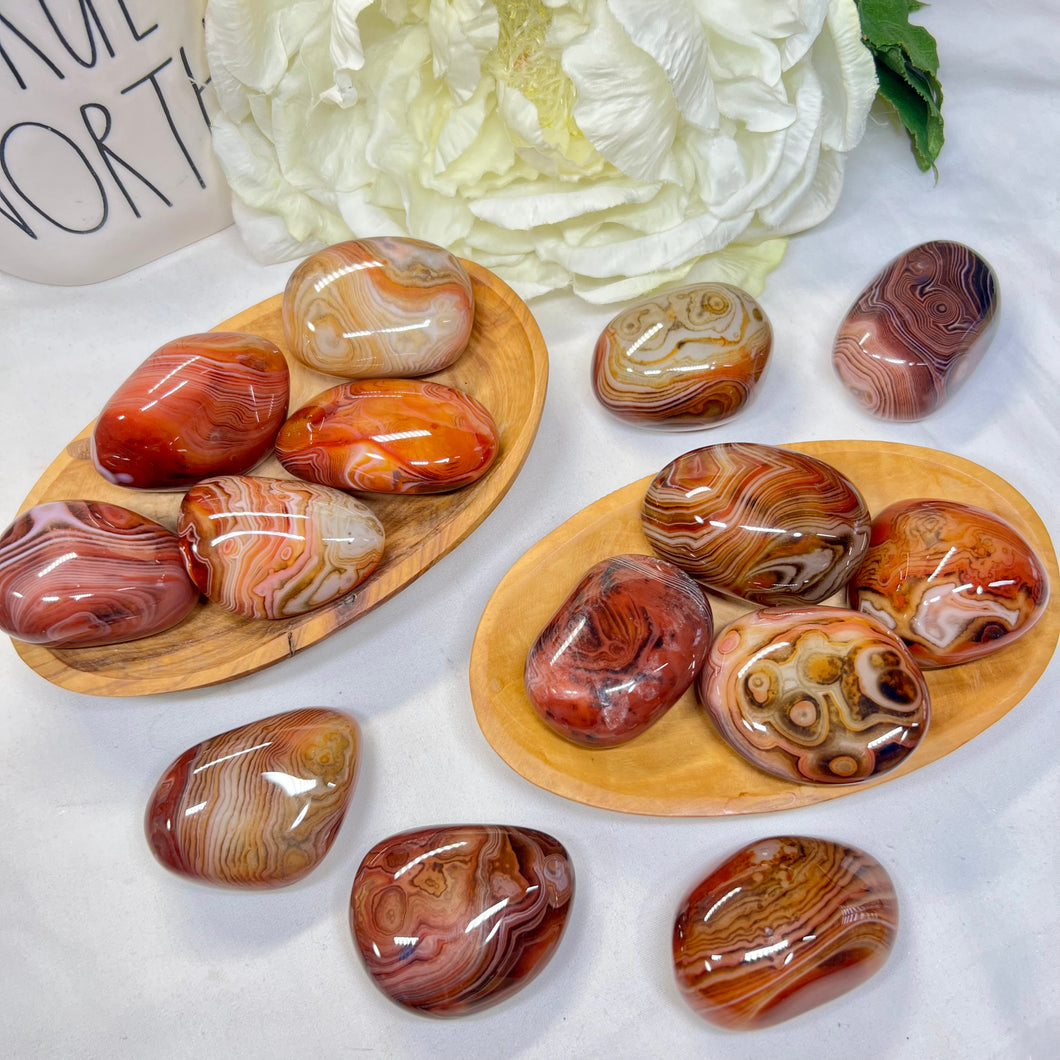 Sardonyx Palm