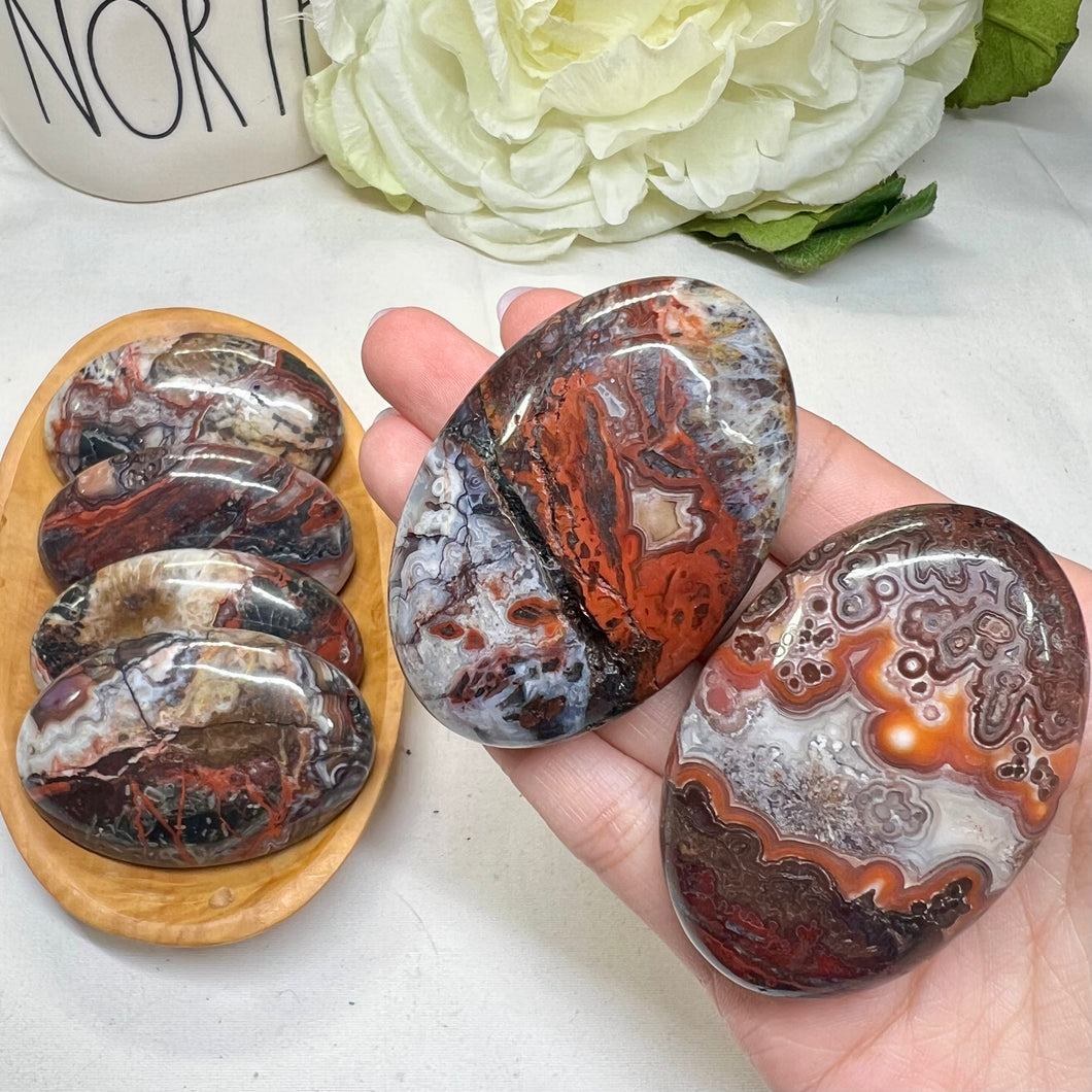 Red Mexican Agate Palm