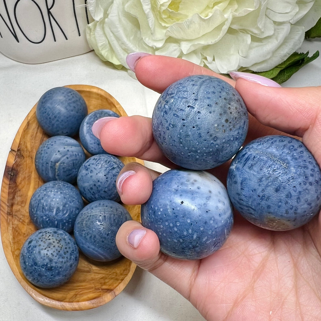 Fossilised Blue Coral Small Sphere