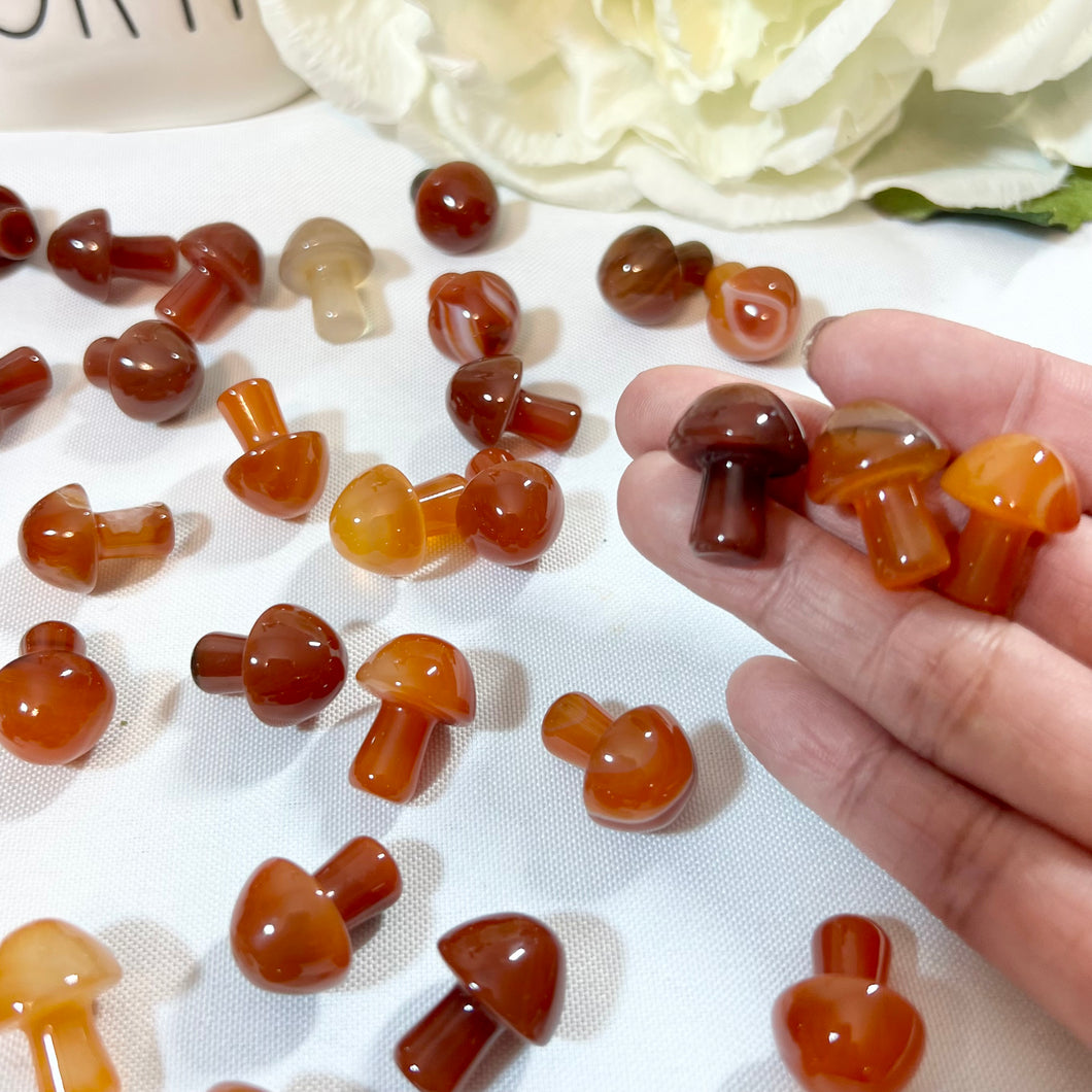 Carnelian Mushroom