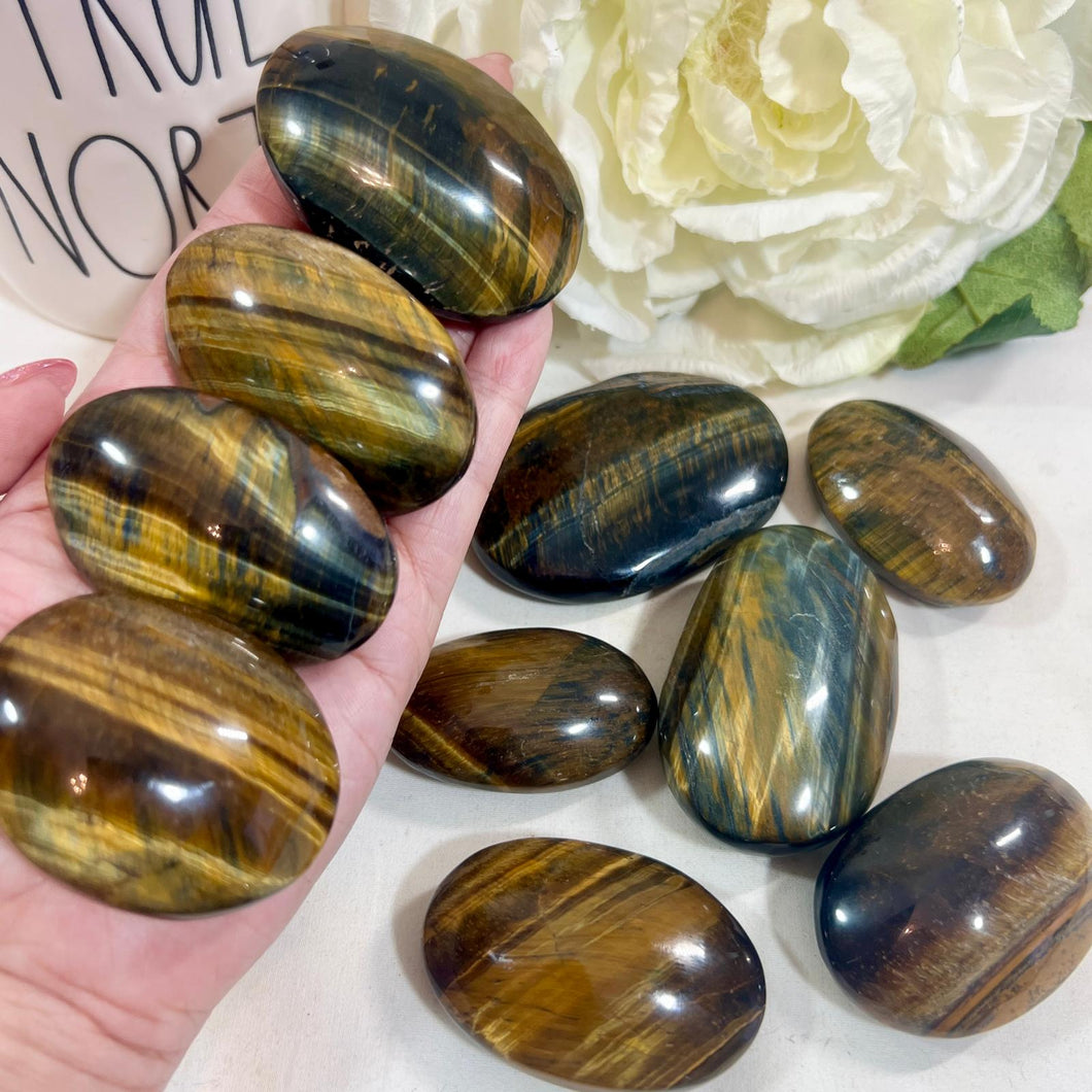 Tiger's Eye Palm